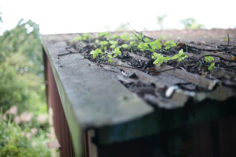 prevent clogged gutters
